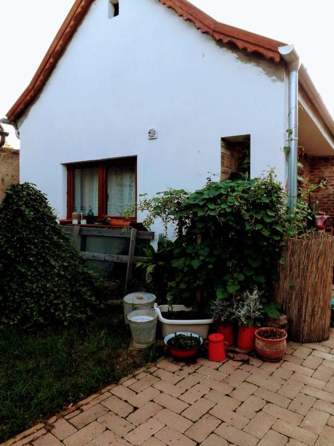 Míves Vendégház Pogány Exterior foto